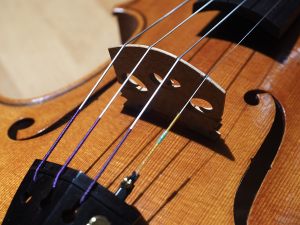 Ansichten einer Geige aus dem Jahr 2017