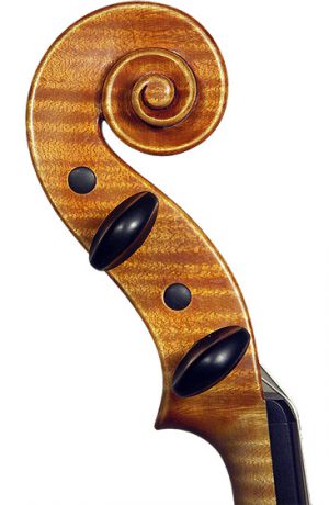 Stradivari_Kopf_links