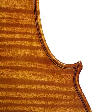 Stradivari_Seite_hinten